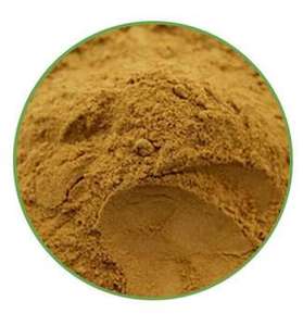 טבעוני טרום אימון תוספת אבקת עבור אורח חיים פעיל מחדש אנרגיה והתאוששות שרירים עבור תזונה ספורט - Product Image 5