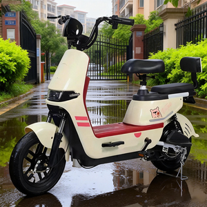 Vélo Électrique Léger Universel <span class=keywords><strong>pour</strong></span> Hommes et Femmes, Mobilité Urbaine, 350W, <span class=keywords><strong>Petite</strong></span> <span class=keywords><strong>Moto</strong></span> Électrique, En Stock Usine - Product Image 6
