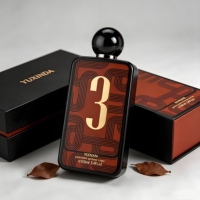 Flacon de parfum carré vide de luxe personnalisé de 100 ml en verre avec couvercle magnétique doré, pulvérisateur à pompe, boîte d'emballage élégante