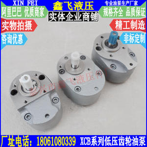 Bomba de Engranajes de Baja Presión XCB-B16 XCB-B20 XCB-B25 XCB-B32, Bomba Hidráulica para Aplicaciones Hidráulicas - Product Image 1