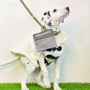 Échantillon gratuit, sac à friandises pour animaux de compagnie avec logo personnalisé, sac de récompense, conteneur alimentaire, nourriture pour chiens, porte-sac à crottes pour l'entraînement, la marche, clip sur la laisse - Product Image 2