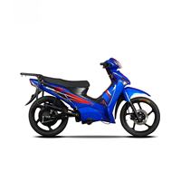 Moto électrique de tourisme haute performance 72V 3000W avec une autonomie de 100 km et une capacité de charge de 250 kg