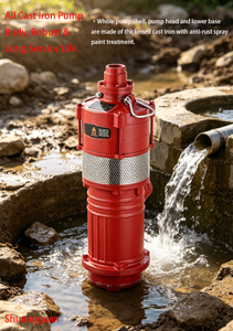 Mini <span class=keywords><strong>pompe</strong></span> submersible multi-étages QD 10 m³/h, hauteur de refoulement 26 m, <span class=keywords><strong>pompe</strong></span> électrique pour l'extraction des eaux souterraines de puits profonds - Product Image 2