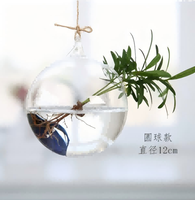Petit vase suspendu créatif en verre, terrarium, bouteille pour plantes hydroponiques, conteneur pour plantes succulentes et plantes aériennes, décoration d'intérieur