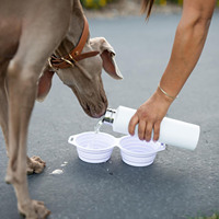 Fournitures pour animaux de compagnie : Bols pour nourriture et eau, Bols en silicone de qualité alimentaire, Bols pliables et portables pour chiens, Bol pour chiens à alimentation lente