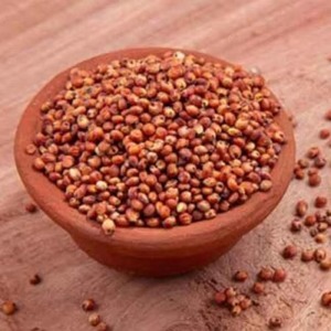 Offre Spéciale : Grains de Sorgho Rouge Séché 100% Naturel pour Usage Industriel, Fabrication de Bière, Farine Alimentaire, Alimentation Bovins et Volailles, Source d'Énergie, Vente en Gros - Product Image 5