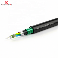 Cable Dieléctrico Blindado GYFTA53 2-144C SM/MM APL+PSP con Cinta de Protección 3000N para Uso Subterráneo