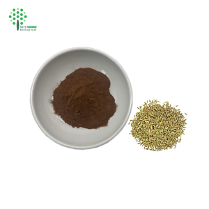 Extracto de semilla de hinojo EXTRACTO DE Foeniculum vulgare natural - Product Image 3