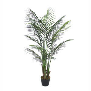 arecapalm