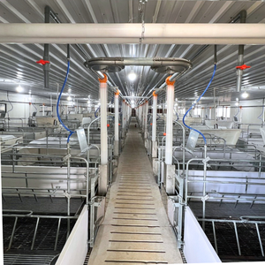Cages for Pigs Farrowing <b>Crates</b> Used Farrowing <b>Crates</b> for Sale Steel Vietnamese Manufacturer Top Selling Farrowing - Product Image 6