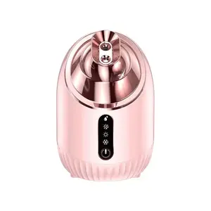 Portable Ozone Visage Vapeur Spa Hydratant Pour La Peau Nano Vapeur Facial Ionique Pour Salon Usage Domestique Pulvérisation Chaude Et Froide