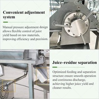 Commerciële Cashew Aloë Vera Koudgeperste Wortelsap Extractie 1 Kw Sap Extractor Maken Machine