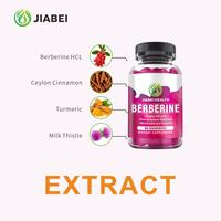 Gummies de berbérine OEM/ODM sans sucre, complément alimentaire pour l'immunité et la santé intestinale des adultes, avec cannelle de Ceylan, bonbons gélifiés pratiques