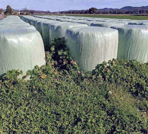 Película Autoadhesiva Verde de Alta Elasticidad para Envolver Pacas de Silaje, Corte Hermético para Almacenamiento de Forraje, Heno y Maíz - Product Image 5