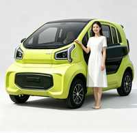 Voiture électrique à basse vitesse BAIMA à 4 roues, moteur 1500W, batterie lithium/plomb-acide, pour usage familial, 4 places, 60 km/h, usage domestique