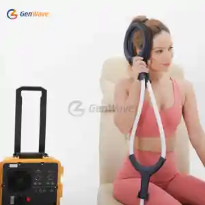 Portable Pemf Magnetic Therapy Device Pmst Loop Human Whole Body Pain Relief Machine Physical PEMF Mat