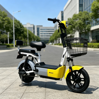 Vélo électrique rétro à 2 roues avec panier avant, scooter électrique à double siège, vélo électrique de banlieue pour adultes, vente en gros