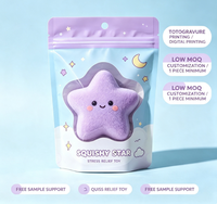 Pochette à fermeture éclair verticale imprimée en héliogravure, sac d'emballage plastique résistant à l'humidité pour le rangement de jouets anti-stress Squishy Fidget