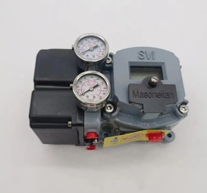 SVI2-31123111หนังแบบดิจิตอลสำหรับแต่งตัว masoneilan - Product Image 6