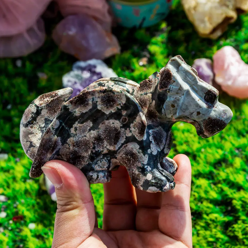 Pietre naturali intagliate a mano circa 4 pollici cristalli pietre curative drago volante russo agata sakura