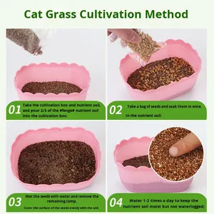 Venta al por mayor de hierba para gatos, caja hidropónica de plástico, <span class=keywords><strong>semillas</strong></span> de trigo, plantas en maceta, removedor de bolas de pelo, hierba gatera, aperitivos ecológicos - Product Image 2