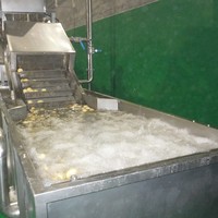 Hoge kwaliteit, hoge efficiëntie, milieuvriendelijke wasrolborstelmachine voor het reinigen van fruit, groenten & tarwe, bovenaan de BYFW-model.