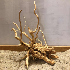 Madeira Natural para Aquário: Tronco de Bonsai e Madeira Flutuante (Spider Wood) para Aquascaping – Vários Tamanhos Disponíveis para Atacado - Product Image 1