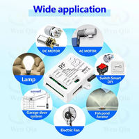 Ce module d'interrupteur intelligent Tuya Wifi DC AC 12v 24v 9v Rf 433mhz, télécommande sans fil, fonctionne avec Alexa Google