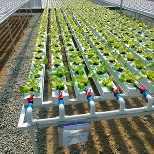 Tùy chỉnh ngang nhà kính nft Ống hydroponics phát triển hệ thống kênh PVC cho rau lá - Product Image 3