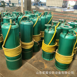 ปั๊มจุ่มใต้น้ำ Bqs800-90-315 Nkw ทำจากเหล็กหล่อ ป้องกันการระเบิด สำหรับระบายน้ำ ใช้ในงานเหมือง - Product Image 2