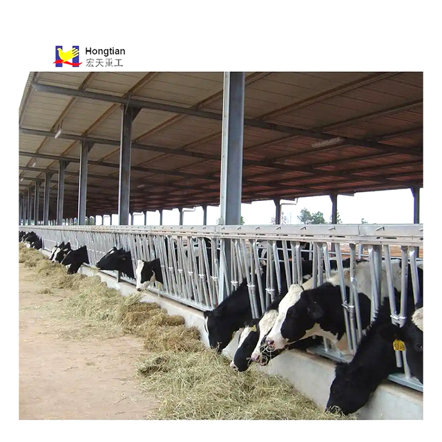 Prefabricated Light Steel Structure Dairy Cow Cattle Farm Shed with Welding & Bending Services 80m X 16m
