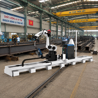 Robot de soldadura Donsin de 6 ejes, sin necesidad de enseñanza ni programación.