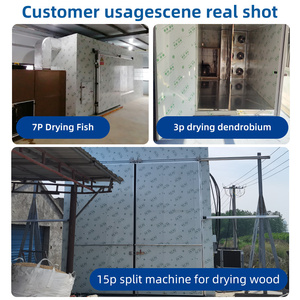 Công Nghiệp Máy Sấy Thực Phẩm Phòng Quy Mô Lớn Máy Để Làm Khô Trái Cây Gia Vị Thịt Rau - Product Image 4
