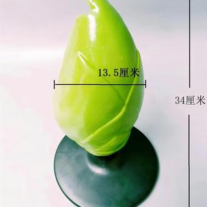 Modelo de Germen de Semilla de Planta, Ayuda Didáctica 3D para la Enseñanza de Botánica y Biología - Product Image 5