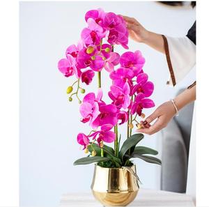 Flor Artificial de alto grado, al por mayor, en maceta decorativa, flor en maceta de <span class=keywords><strong>Dendrobium</strong></span> con toque Natural - Product Image 5