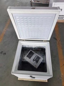 <span class=keywords><strong>Mini</strong></span>-réfrigérateur 48V pour <span class=keywords><strong>moto</strong></span> avec boîte de livraison, réfrigérateur mobile - Product Image 5