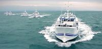 23.5m Grandsea Thon Longliner Bateau de pêche Nouvelle coque en acier avec carburant diesel en matériau FRP à vendre