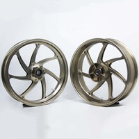 Ruedas de Motocicleta de Aleación de Aluminio Forjado de 17 Pulgadas, Ligeras y de Alta Resistencia, para BMW Serie S1000RR / F900 / R NineT