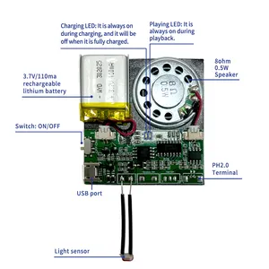 Programmeerbare 8M Usb Opneembare Verjaardagskaart Muziek Voice Module Licht Sensor Geluidschip Voor Diy Voice Audio Speelgoed Wenskaart