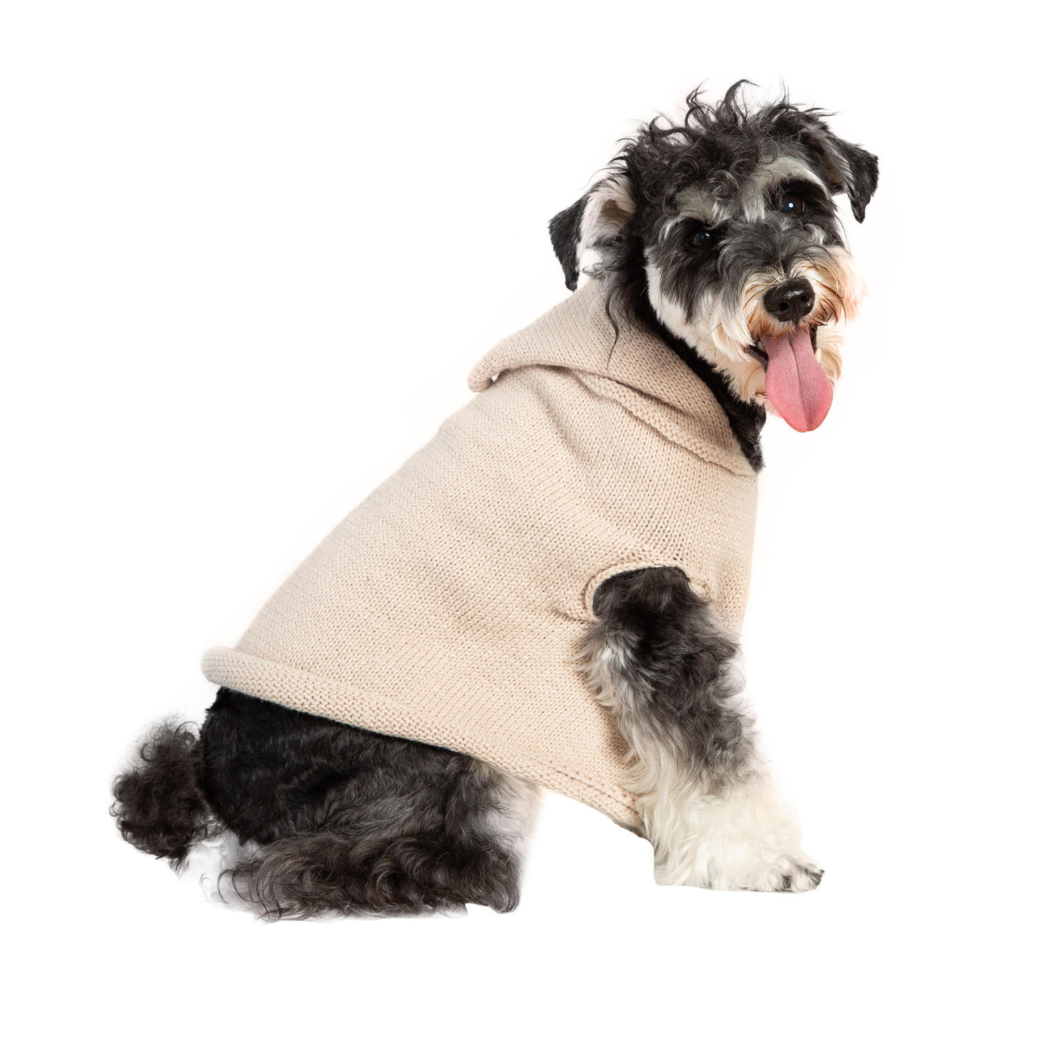 serenity dog clothes