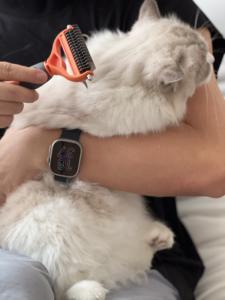 Peine profesional de alta calidad para mascotas, herramienta de aseo para perros y gatos - Product Image 4