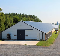 Conception moderne de poulailler/poulailler pour poulets de chair Ferme avicole automatique comprenant des équipements d'élevage de volailles