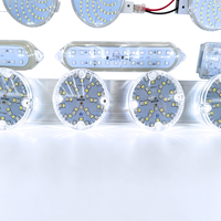 Lumières LED Cabochon E14 AC24V 65mm Étanche pour Manèges, Parcs d'Attractions et Tours d'Observation