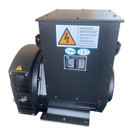Generador STF-164C STF-10.8 de 10.8kw, 4 polos, sin escobillas, trifásico, de CA, sincrónico, con cable de cobre hexagonal, OEM