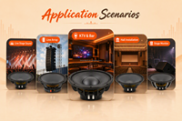 Haut-parleur médium de 8 pouces 200W RMS, 8 ohms, woofer audio professionnel, 98dB haute sensibilité pour système Line Array