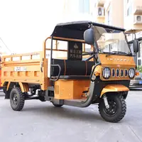 Water-Cooled Agricultural Diesel Three-Wheel Cargo Motorcycle Tricycle