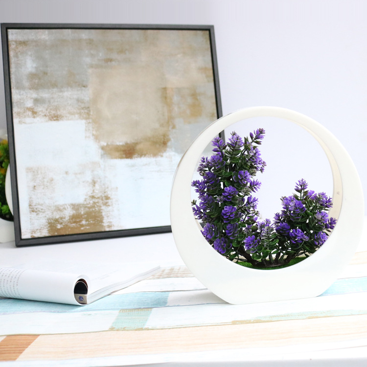 5- Dark blue conifer