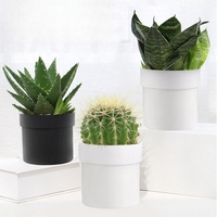 Coffre-fort en forme de plante artificielle, rangement dissimulé, pour argent, clés, montres, objets de valeur, pour porte d'entrée, bureau, jardin, voyage, dortoir, extérieur