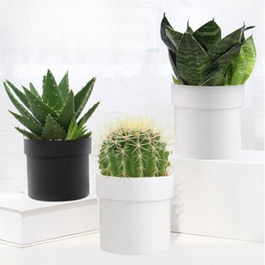 Coffre-fort en forme de plante artificielle, rangement dissimulé, pour argent, clés, montres, objets de valeur, pour porte d'entrée, bureau, <span class=keywords><strong>jardin</strong></span>, voyage, dortoir, extérieur - Product Image 3