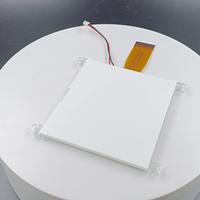 Layar LCD COG Dot Matrix CH160160A-L 160x160, FPC Plug-in, Monokrom, Grafis, dengan Lampu Latar LED dan Lubang Posisi